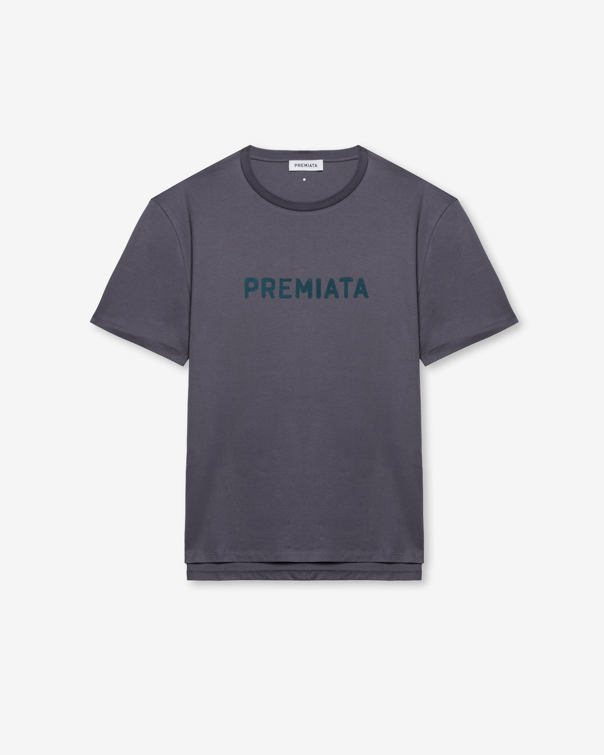 Graphic T-Shirt Iron